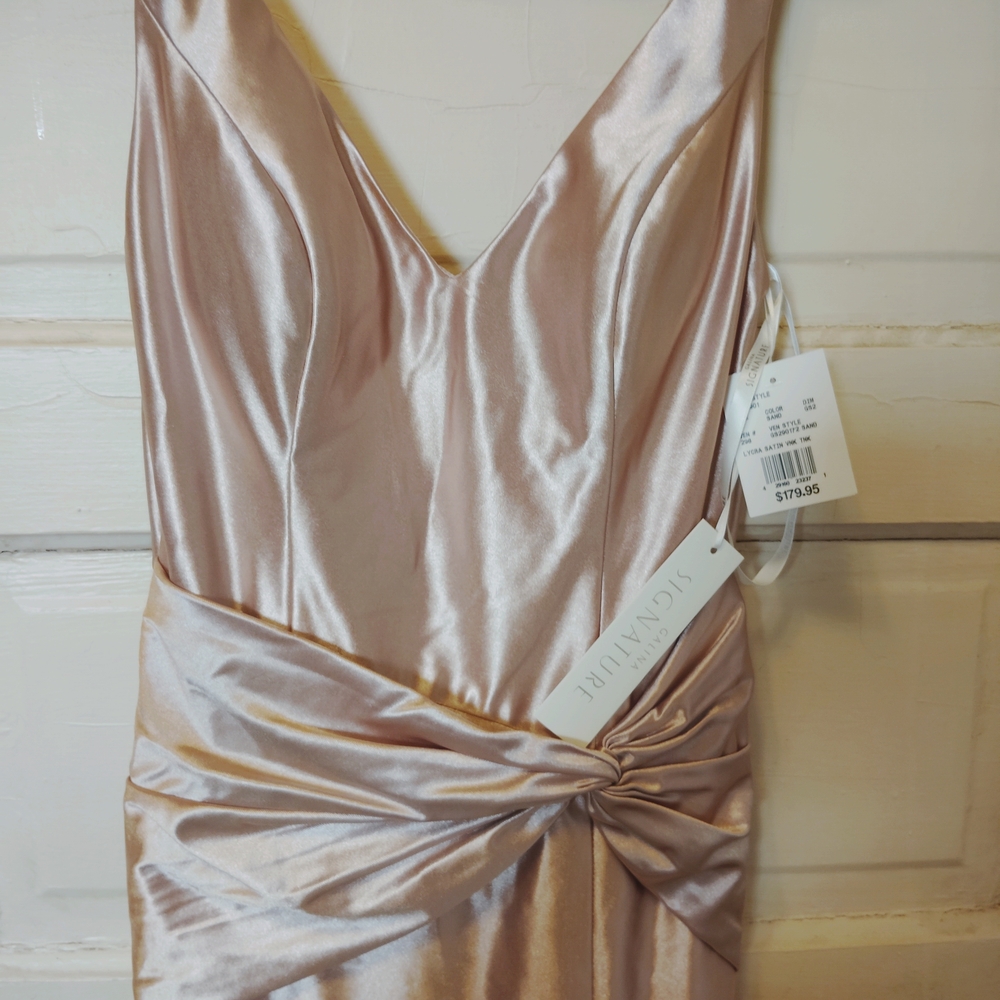 Signature Satin V-Neck Gown - Blush